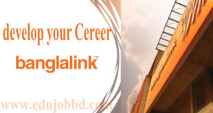 Banglalink Senior Manager Job Circular free download