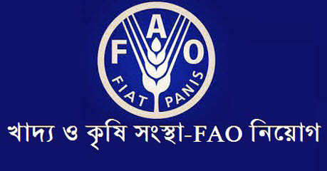 FAO job circular 2020 with the application form