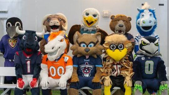 NFL Mascot Salary: How Much Do They Make and How to Become One?