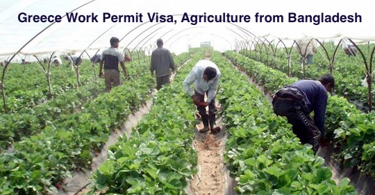 Greece work permit vias
