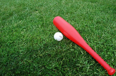 AWA Wiffle Ball Players Salary 2025