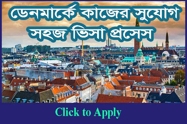 How to get Denmark Work permit Visa